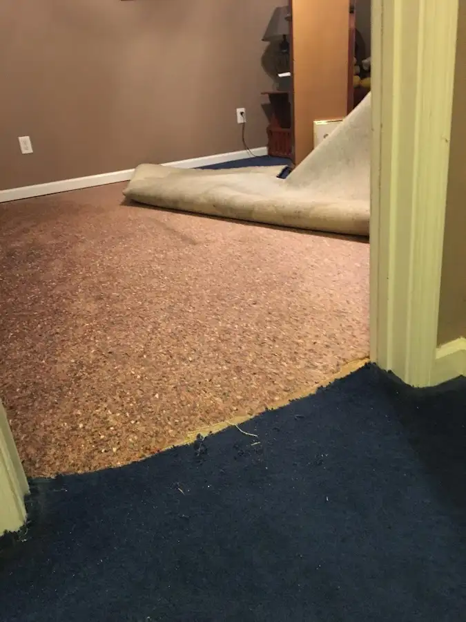 Carpet pad removal revealing water damage during Water Mitigation Services in Lloyd