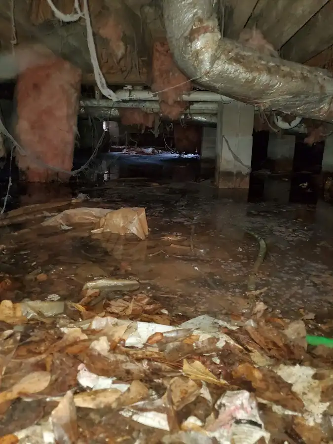 Crawl space flood assessment for Commercial Water Damage Restoration in Lloyd