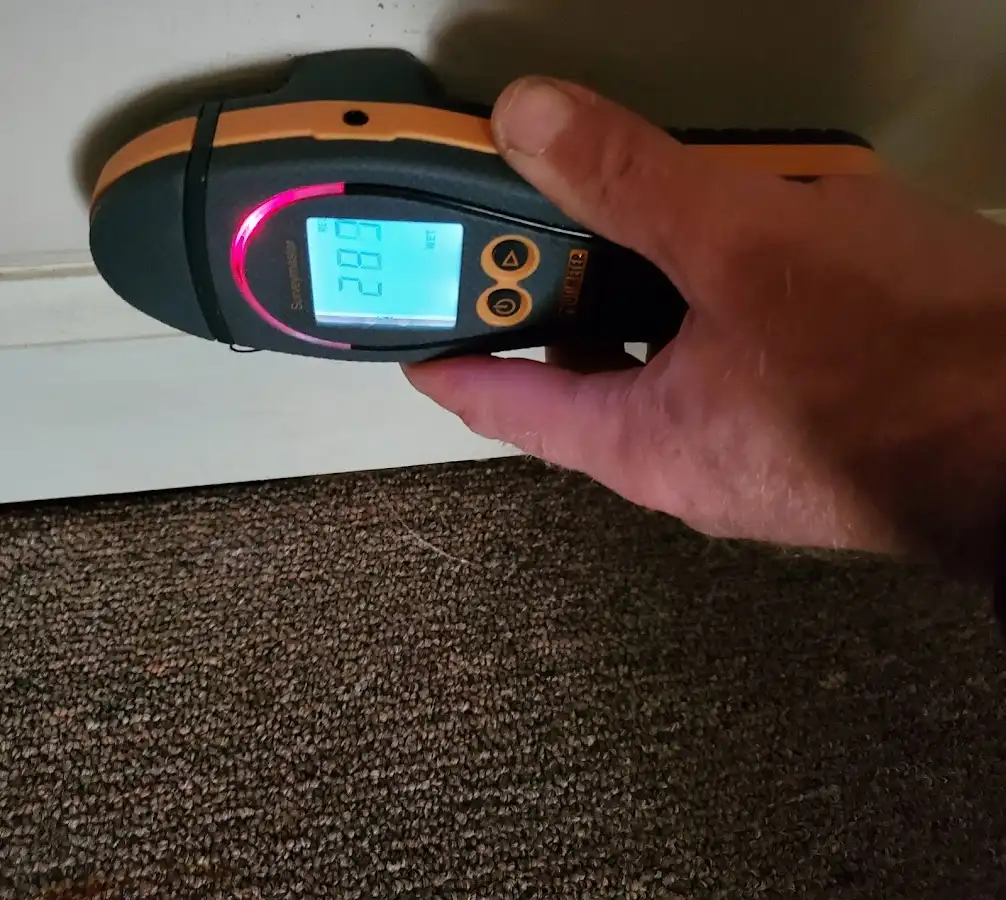 Moisture detection at baseboard during Burst Pipe Cleanup in Lloyd